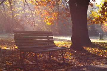 Ławka w jesiennym słońcu © Waldek Pietrzak
