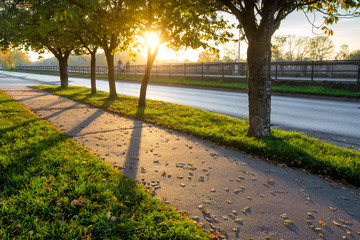 Young couple with baby in small autumn walking
