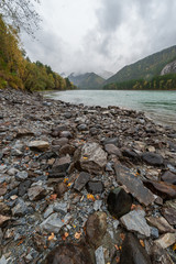 autumn on the shores of the turquoise mountain river Katun