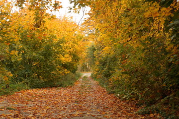 Jesienny krajobraz, Polska © Wioletta