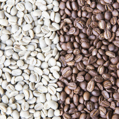 coffee beans background group of green and roasted arabica coffee beans concept of coffee state and agriculture