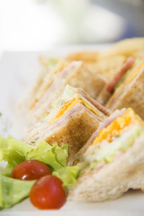 Healthy sandwich made of a fresh salad and tomato,Tasty and fresh sandwiches on white plate background