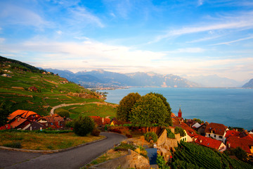 Vineyards of the Lavaux region,Switzerland