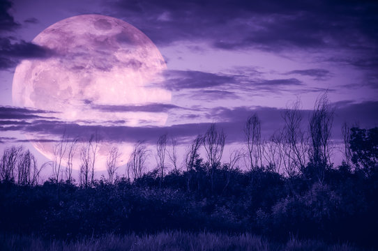 Colorful sky with dark cloudy and big moon over silhouette of trees in a wilderness area.