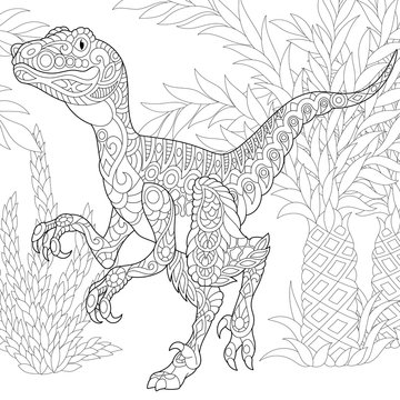 Coloring page of velociraptor dinosaur of the late Cretaceous period. Freehand sketch drawing for adult antistress coloring book in zentangle style.