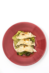 Chinese food Fried dumplings on plate