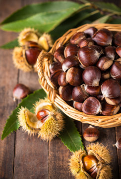 Fresh chestnuts in the basket