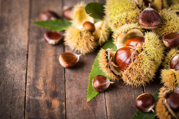 Fresh chestnuts on the table