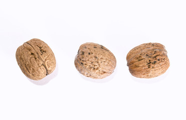 Isolated Walnuts on White Background