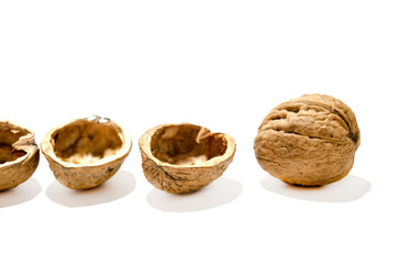 Whole Walnut and Shells on White Background