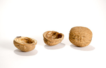 Isolated Walnuts and Shell on White Background