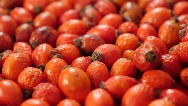 Shallow DOF food ingredient of Rosa canina drying close-up