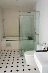 Glass shower