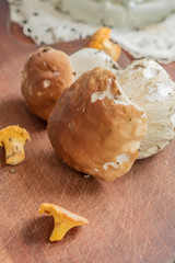 chanterelles and Boletus edulis on wooden desk