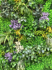 Beautiful artificial plant wall background