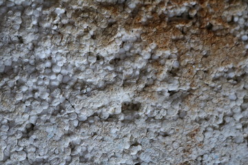 a close up of styrofoam texture