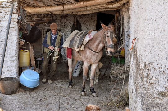 Andalusian farmer with his mule