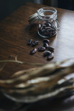 Removing seeds from Runner Bean pods, to store for sowing the following season.