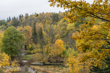 Autumn view in the park