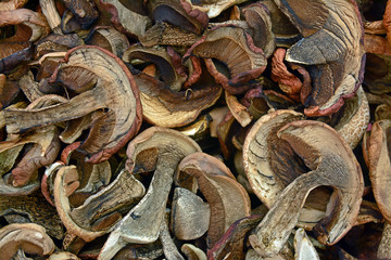 dried mushrooms