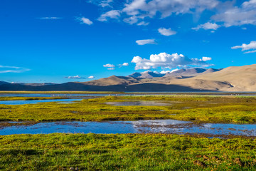 Fototapeta na wymiar Landscape around Tso Moriri Lake in Ladakh, India 