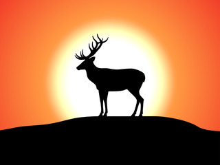 Vector deer with horns standing against the sunset