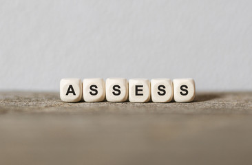 Word ASSESS made with wood building blocks