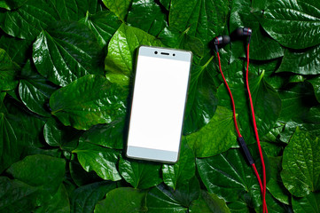 Creative Layout made of cellphone,headphone with green leaves background.Flat Lay.Nature and Technology Concept