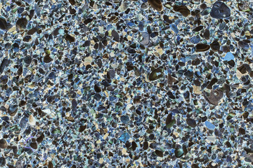 Multicolored seashells on the beach