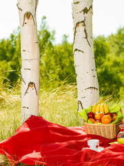 Picnic basket on blanket in woods