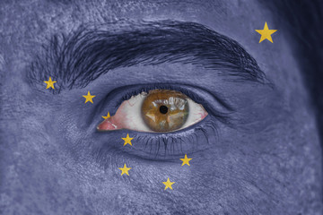Human face and eye painted with US state flag of Alaska