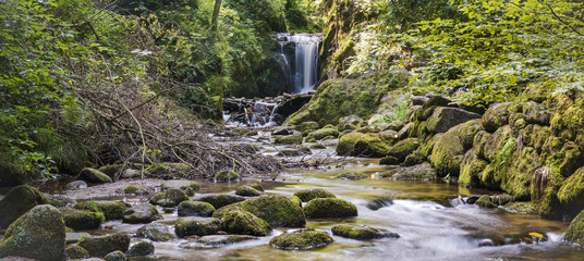 Idyllic wild scene of a waterfall