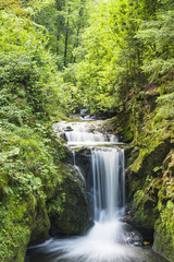 Waterfall in the forest of the Black Forest, Germany