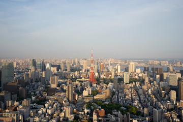 Naklejka premium 夕日に染まるの東京タワー（都市風景）