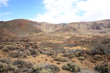 Fototapeta na wymiar Scenic El Teide National Park on Tenerife Island, Canary Islands, Spain