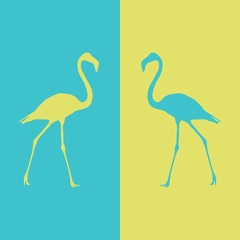 illustration flamingo beautiful