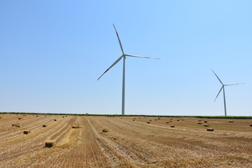 Wind turbines landscape.