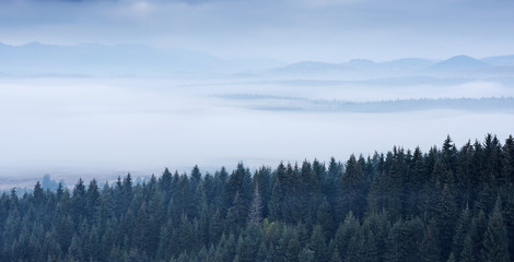 foggy background