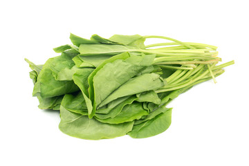 Bunch of spinach