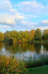 Autumn landscape with a pond and trees.