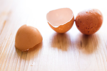 Fresh eggs and egg shell