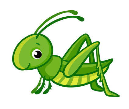 Vector isolated cute green grasshopper on a white background.