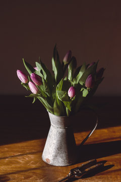 Lilac tulips in a galvanised jug on a sunlit table