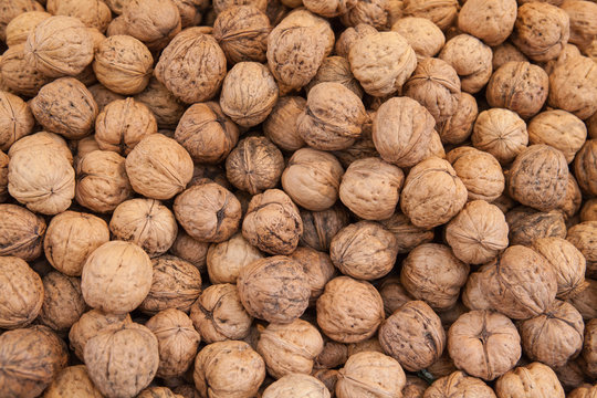 Fresh walnuts