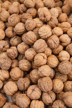 Fresh walnuts