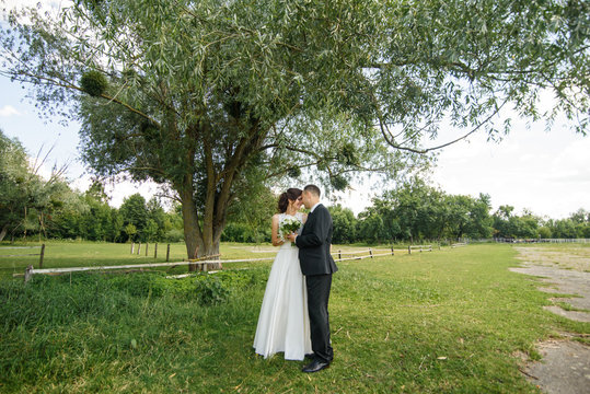 Portrait of a young couple. Wedding photo outdoor of loving couple