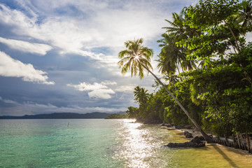 Fototapeta na wymiar Beach view in Raja Ampat, West Papua, Indonesia.