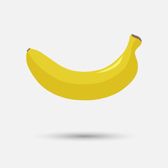 Illustration bananas beautiful