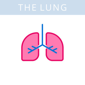 The internals outline icon. Lung, respiratory system symbols. Viscera and inside organs vector linear pictograms. Thin line medical and anatomy infographic elements for web, presentation, network.