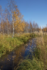 Fototapeta na wymiar Autumn in Siberia